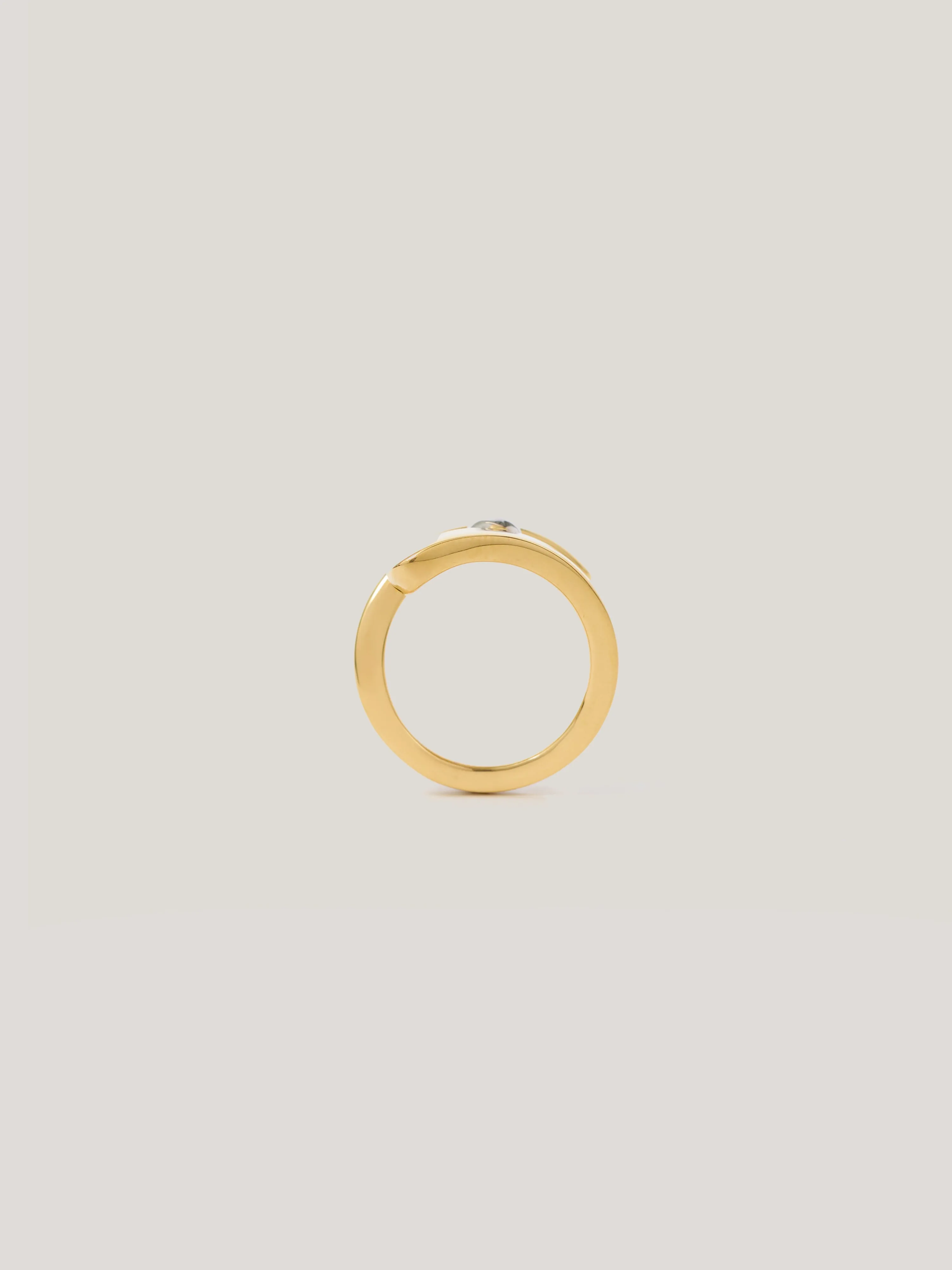 Mixed Metal Bead Ring | Multi