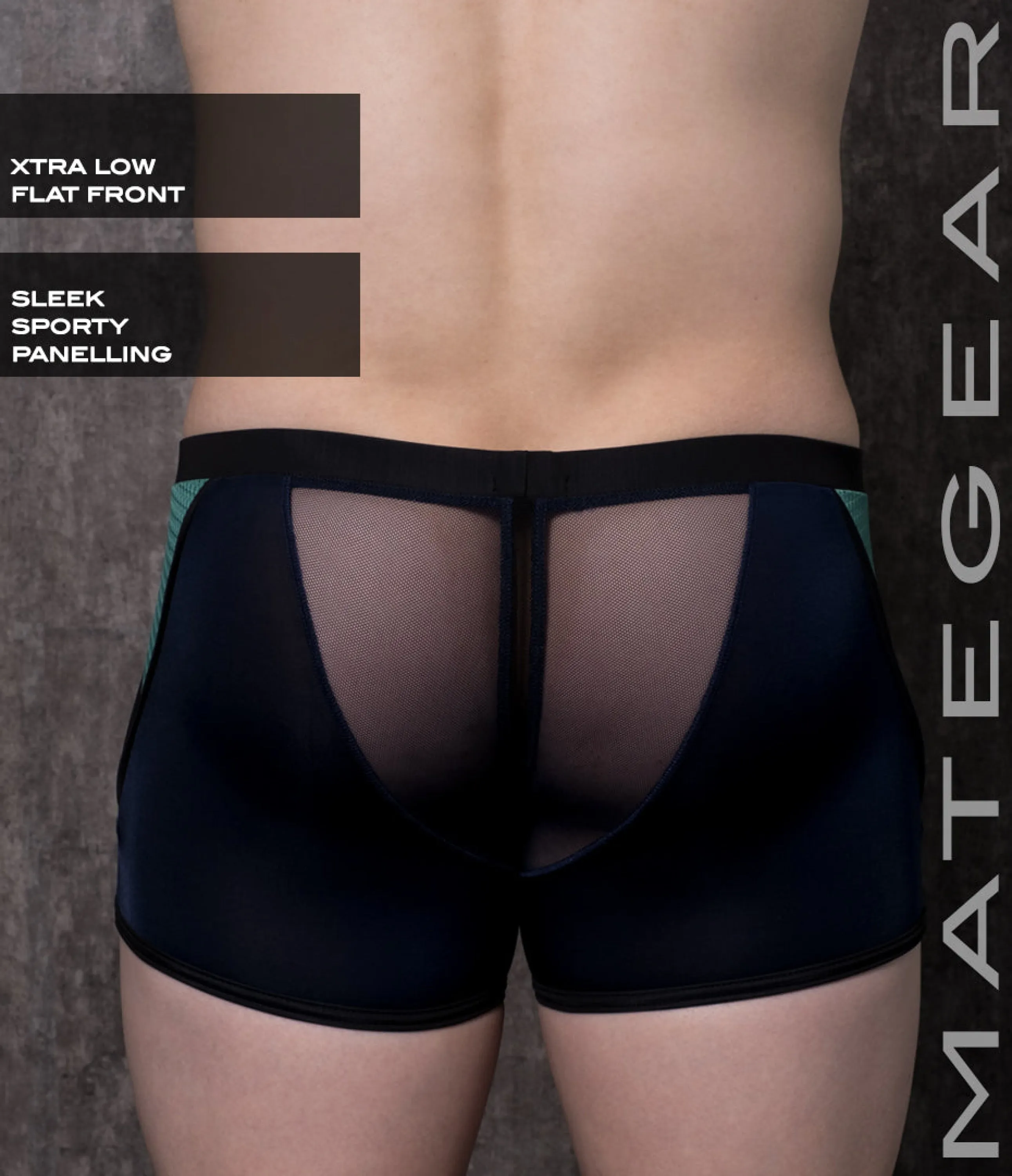 Sexy Mens Swimwear Mini Tights - Ryu Sook III (X-tra Low Flat Front)